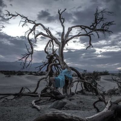 Tree Art - Death Valley